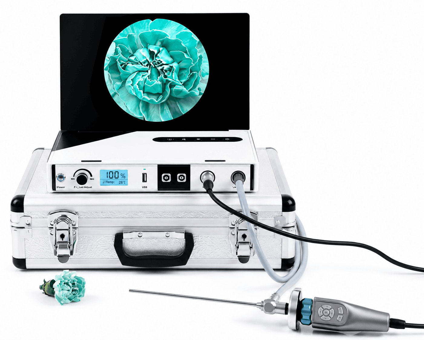 All in One Portable Endoscopic System